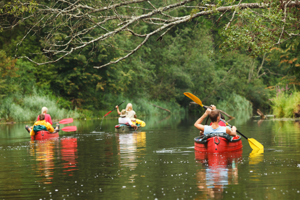 olentangy paddle offers canoe rentals columbus